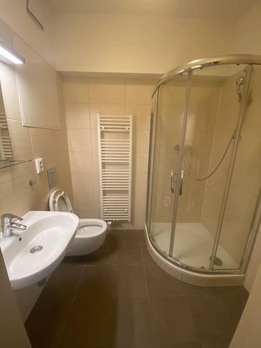 אוסטרבה Garden Apartment Karolina מראה חיצוני תמונה