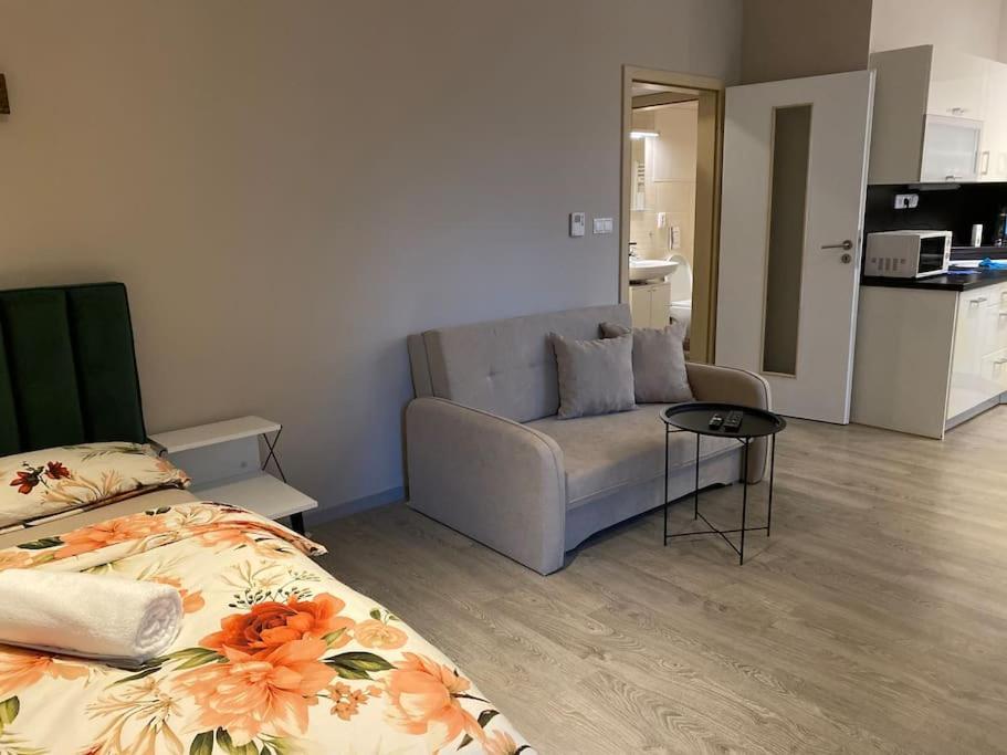 אוסטרבה Garden Apartment Karolina מראה חיצוני תמונה