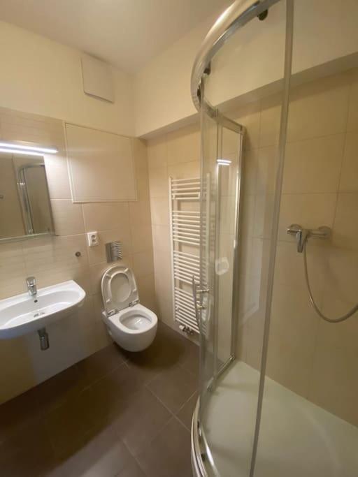 אוסטרבה Garden Apartment Karolina מראה חיצוני תמונה